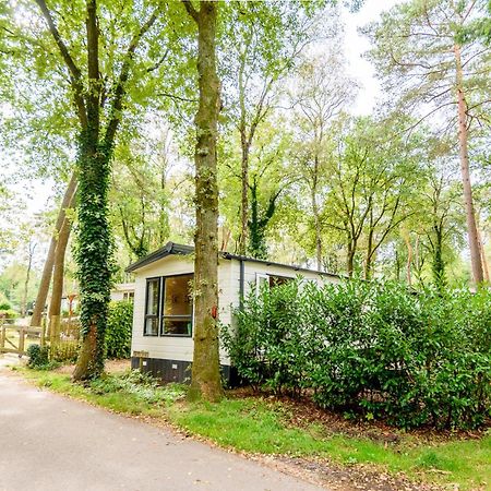 Veluwe Chalet Aan Het Bos - Kids - Pool - Dog Hoenderloo Dış mekan fotoğraf