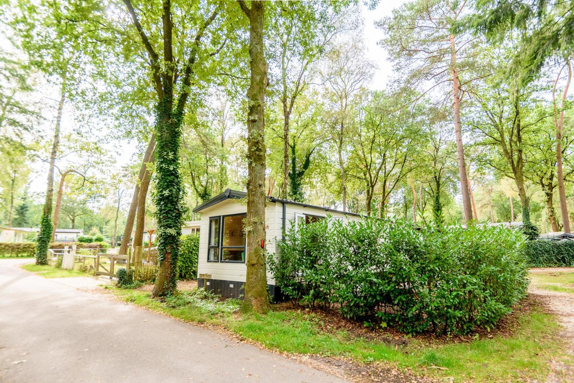 Veluwe Chalet Aan Het Bos - Kids - Pool - Dog Hoenderloo Dış mekan fotoğraf